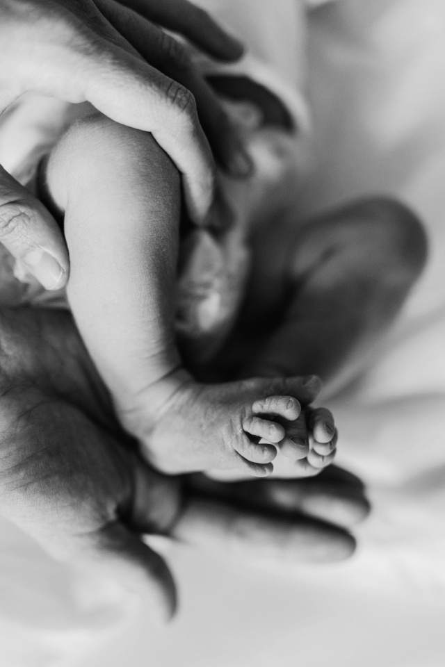 sesje fotograficzne, ślubne, noworodkowe