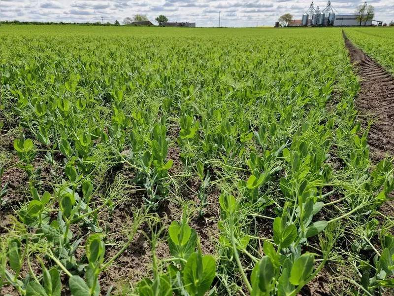 Artur Barczak Gospodarstwo rolne