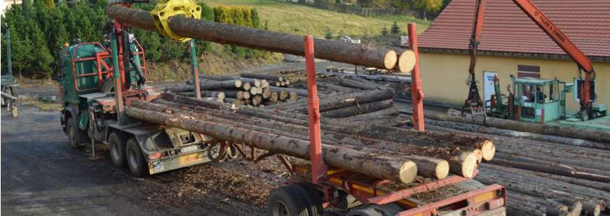 Hurtownia drewna konstrukcyjnego Tartak Istebna