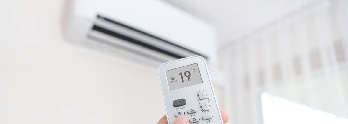 Jsk Team Monika Krasnopolska