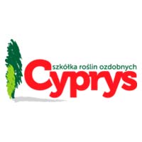 Cyprys Szkółka Roślin Ozdobnych Waldemar Cybulski - Rośliny, nasiona i cebulki
