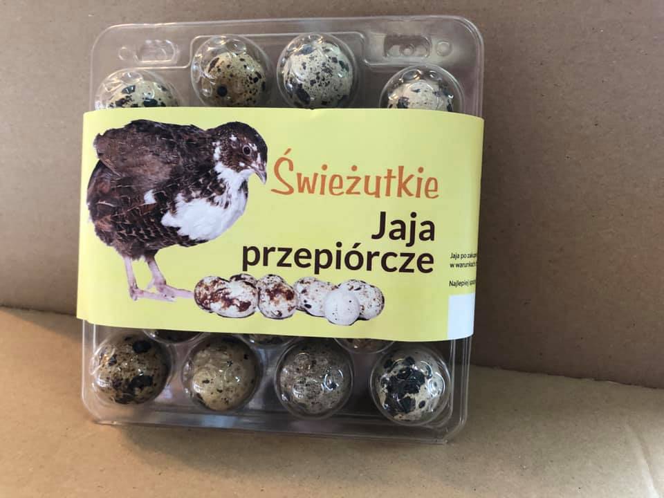 jaja z wolnego wybiegu
