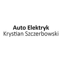 Auto Elektryk Krystian Szczerbowski - Elektronika samochodowa
