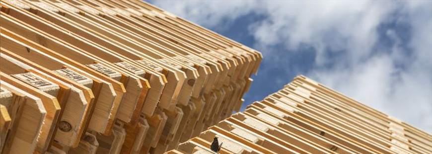 Przetwórstwo drewna Marek Sitkowski