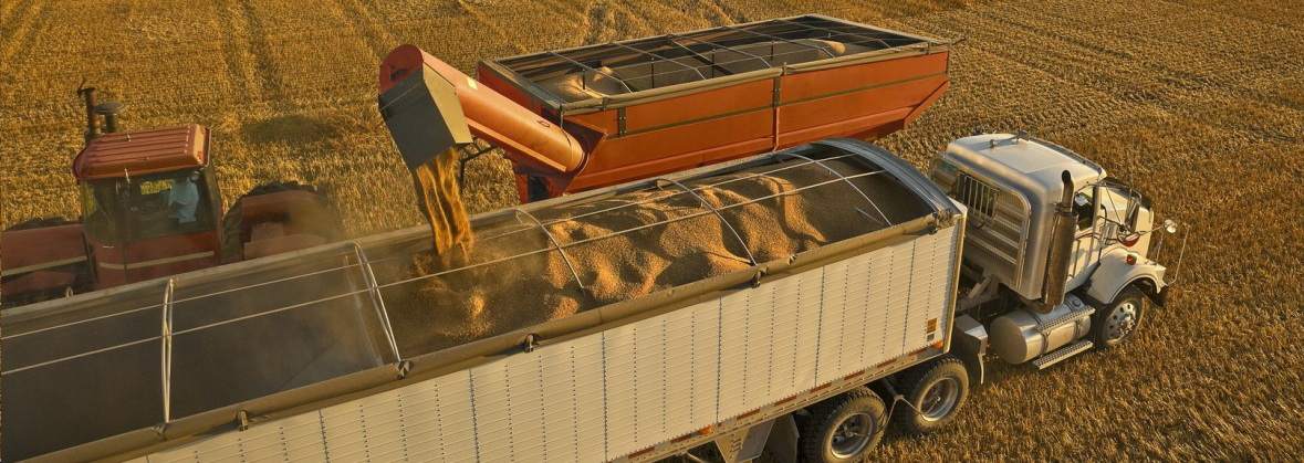 Ap Trade Marzena Wlaszczyk, Justyna Matys s.c.