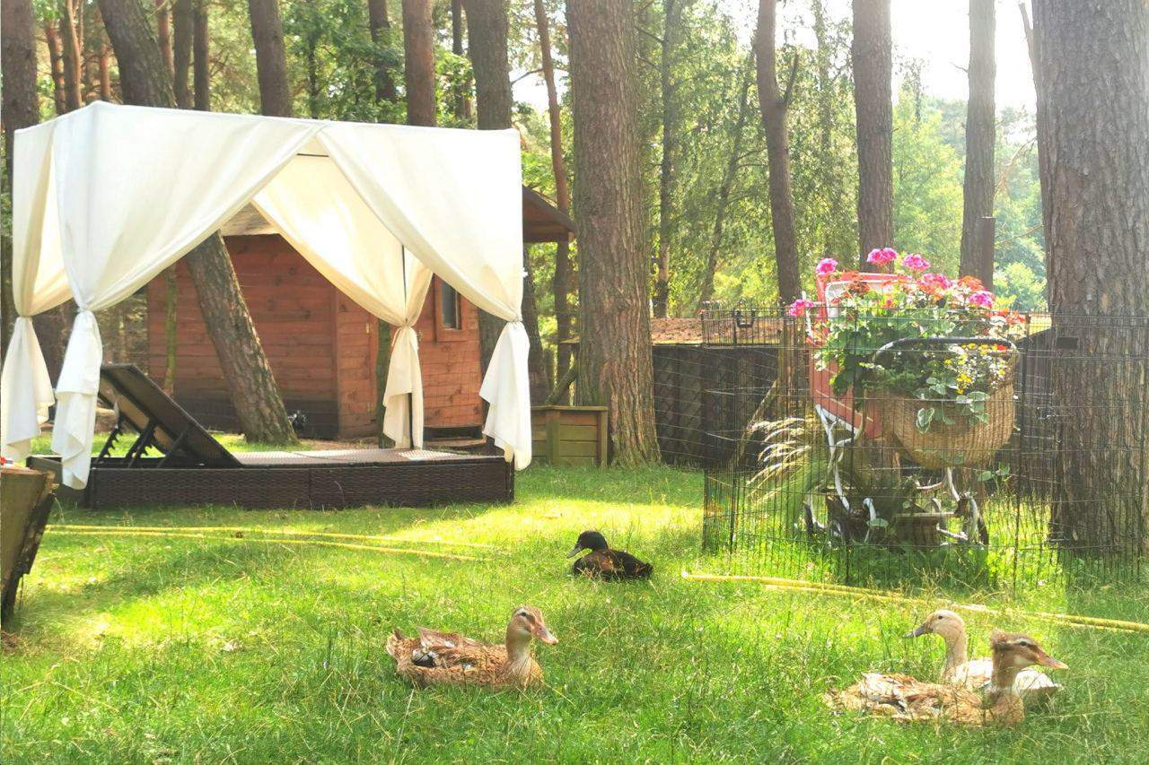 Domki nad Jeziorem Ośrodek Wypoczynkowy Jeleń