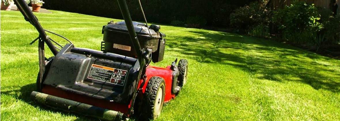 Ogrodnik Sklep Ogrodniczy Sławomir Kobza Lucja Kobza