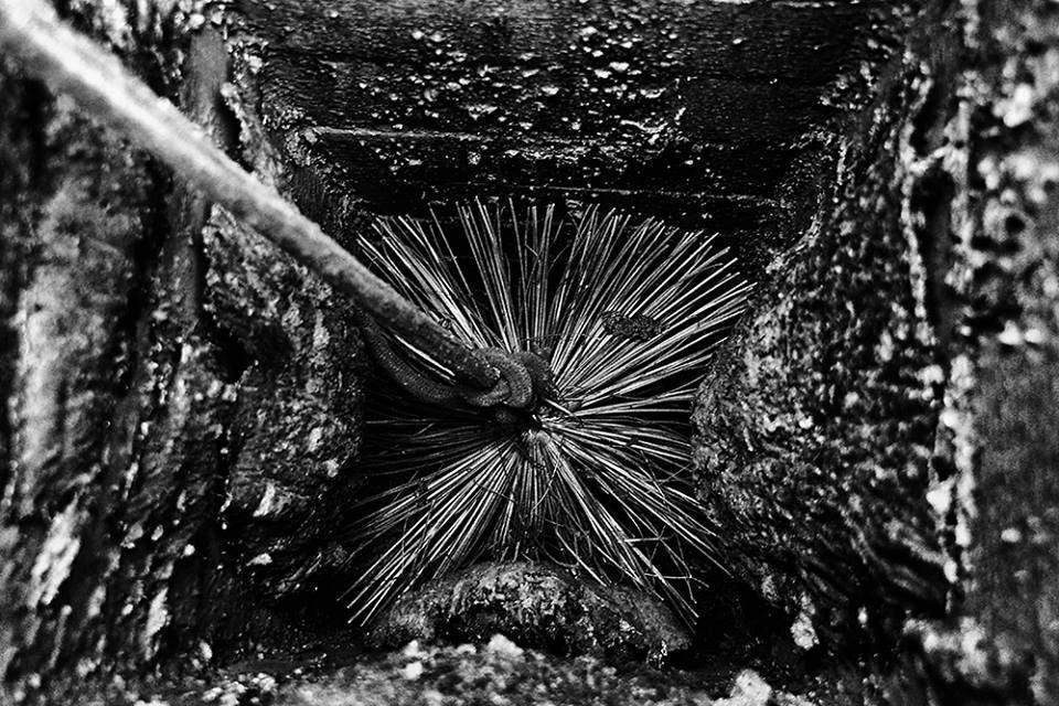 przeglądy instalacji gazowych