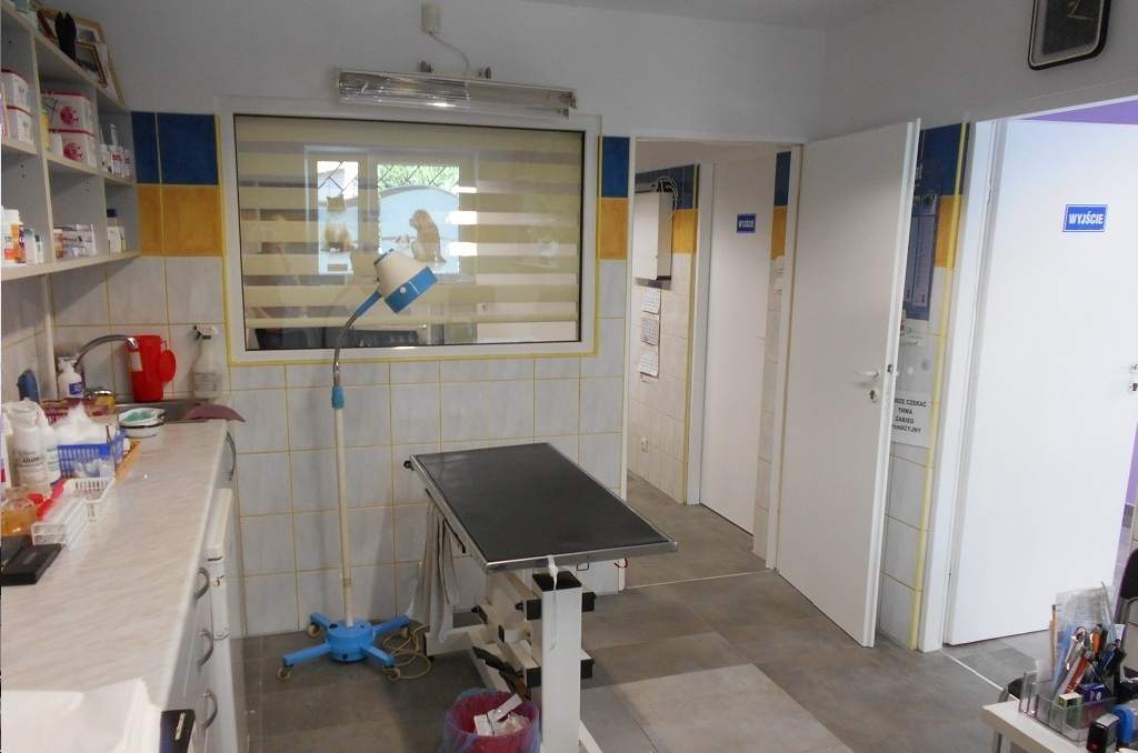 profilaktyka chorób zębów