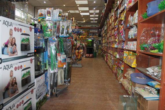 akcesoria dla zwierząt