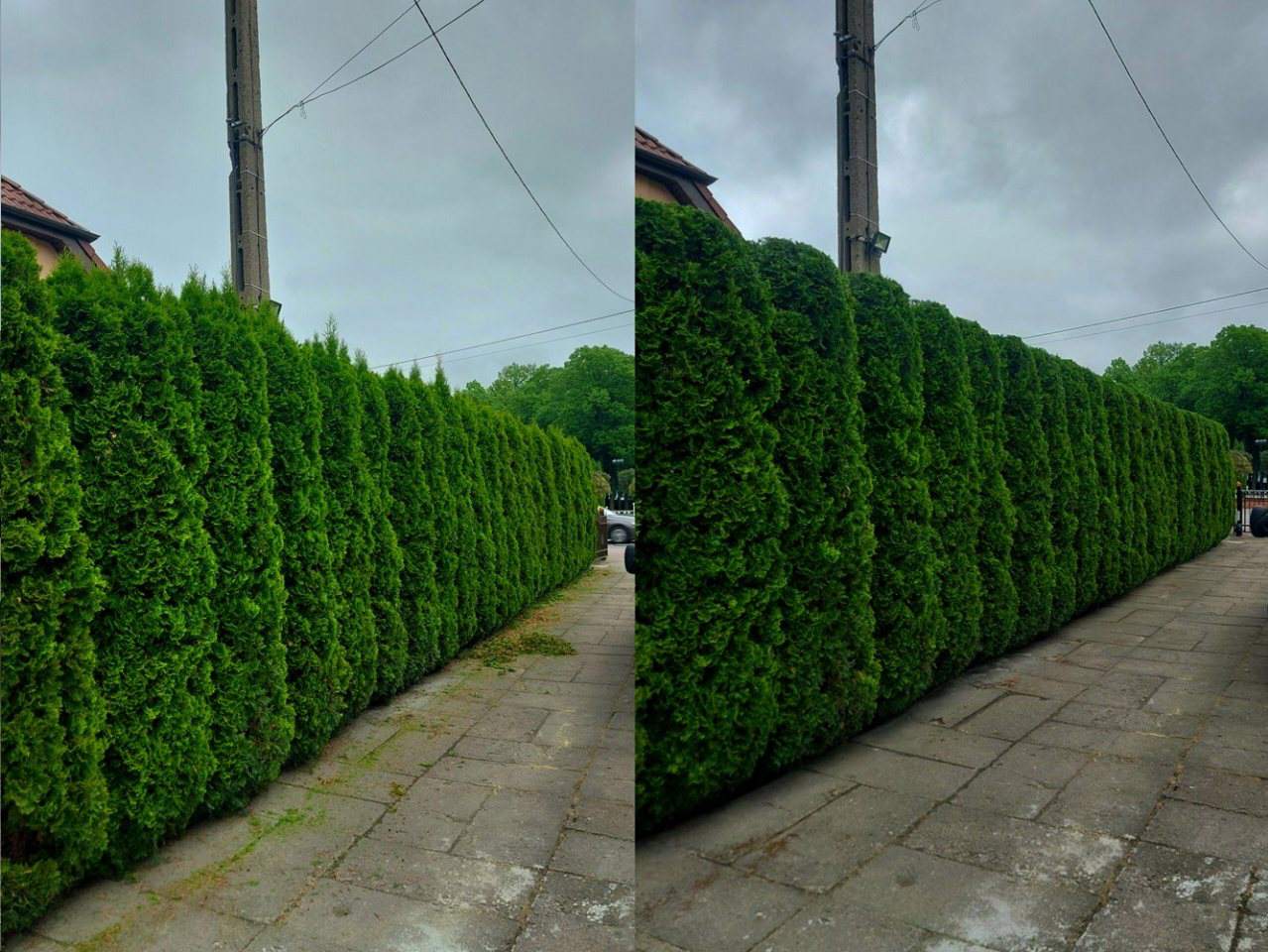 pielęgnacja ogrodów, przycinanie krzaków