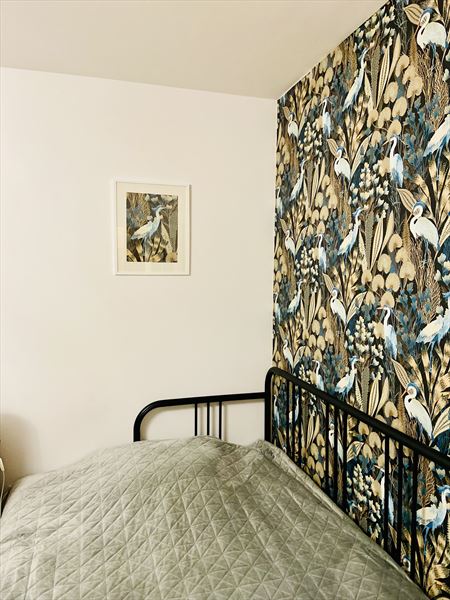 Apartament Czaple na Muchoborze