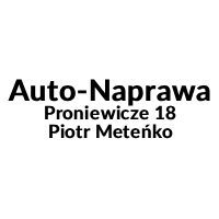 Auto-Naprawa Proniewicze 18 Piotr Meteńko - logo