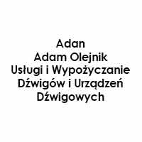 Adan Adam Olejnik Usługi i Wypożyczanie Dźwigów i Urządzeń Dźwigowych - Wynajem dźwigów i żurawi