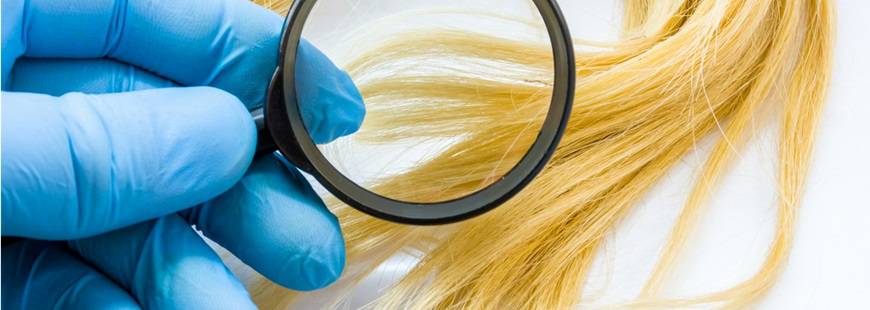 TrychoMedica Trycholog Wrocław