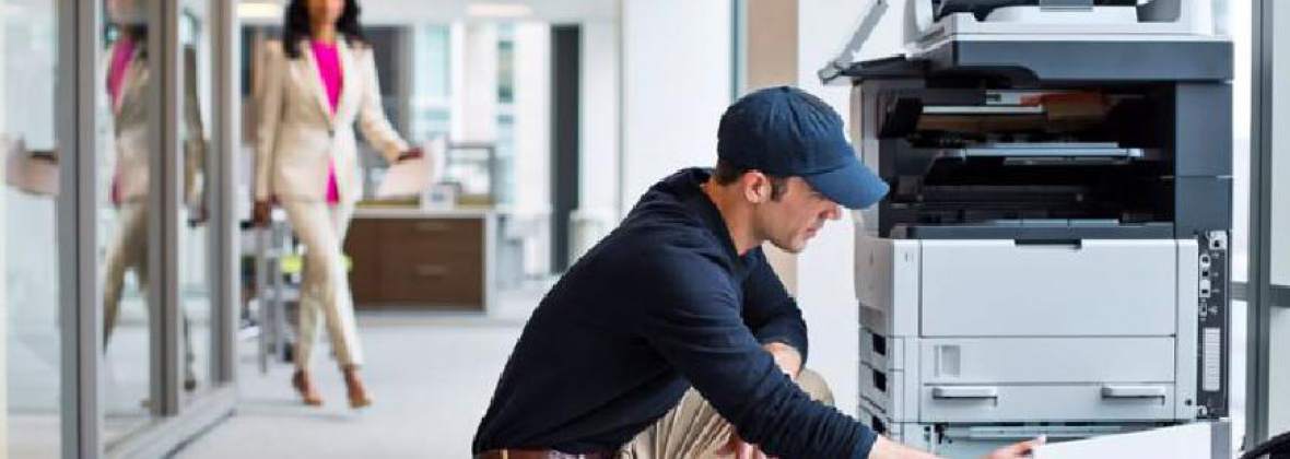 Canfax Sabina Strzeżek