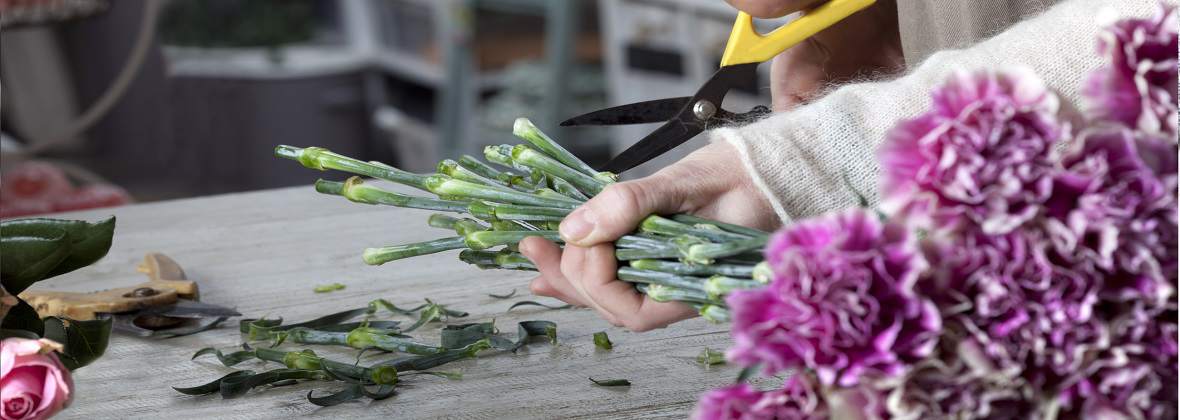 Małgorzata Paczyńska - Kwiaciarnia