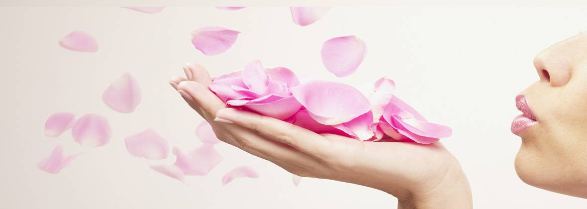 Akademia Dara Klinika Ciała