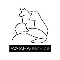 Wataha - Service Sp. z o.o. - Sprzątanie wnętrz i mycie okien