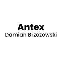 Antex Damian Brzozowski - Budowa i wykończenia pod klucz
