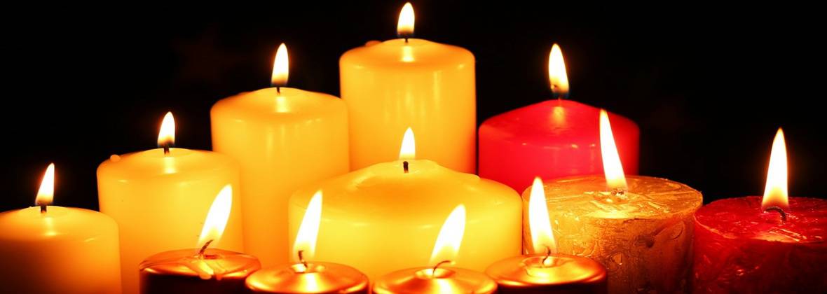 Zorza-Bis Z.P.H. Grzegorz Głowacki