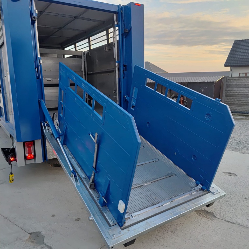 klapa do skupu bydła