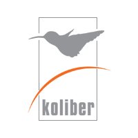 Koliber sp. z o.o. - logo