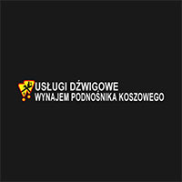 Paweł Szmurło Dźwigi i podnośniki - Wynajem dźwigów i żurawi