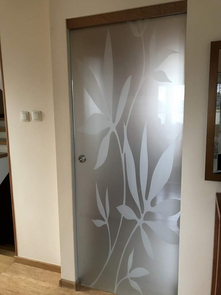 drzwi ze szkła
