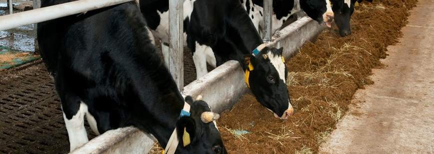 Agro-Maz Artykuły Rolnicze