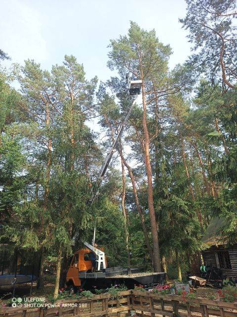 usługi podnośnik koszowym