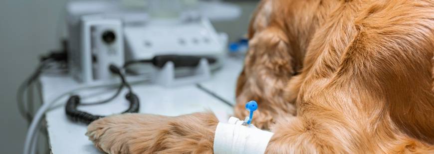 Gabinet Medycyny Komplementarnej i Informacyjnej