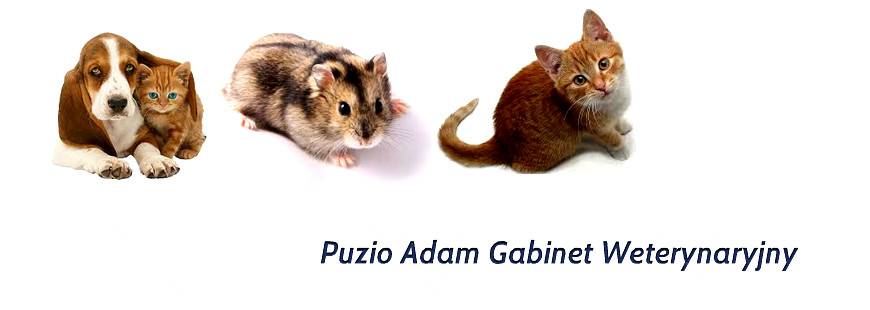 Gabinet Weterynaryjny Adam Puzio