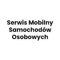 Serwis Mobilny Samochodów Osobowych - Wyposażenie dodatkowe samochodów