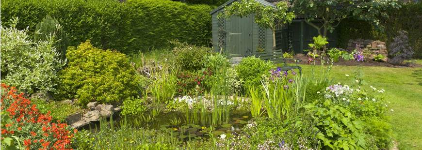 GoldGarden Wojciech Pastuszak