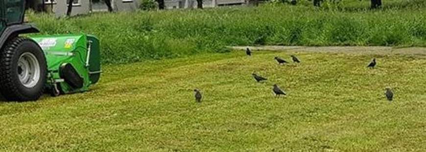 Tc Services Sp. z o.o., Sosnowiec