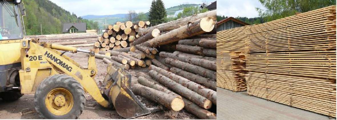 Michał Jania Tartacznictwo Skup i Sprzedaż Drewna