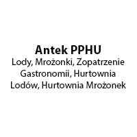 Antek PPHU Lody, Mrożonki, Zopatrzenie Gastronomii, Hurtownia Lodów, Hurtownia Mrożonek - Mrożonki