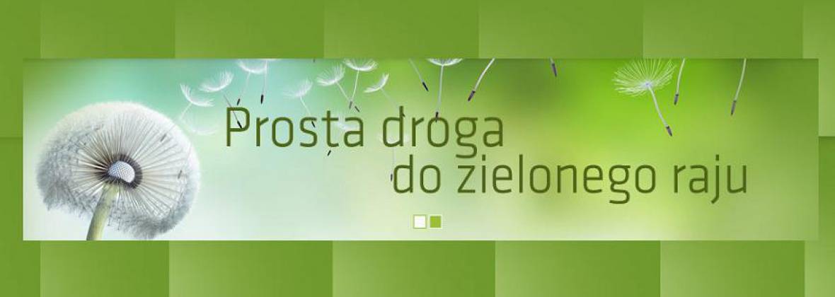 Zielone Wrota Rafał Ostrowski