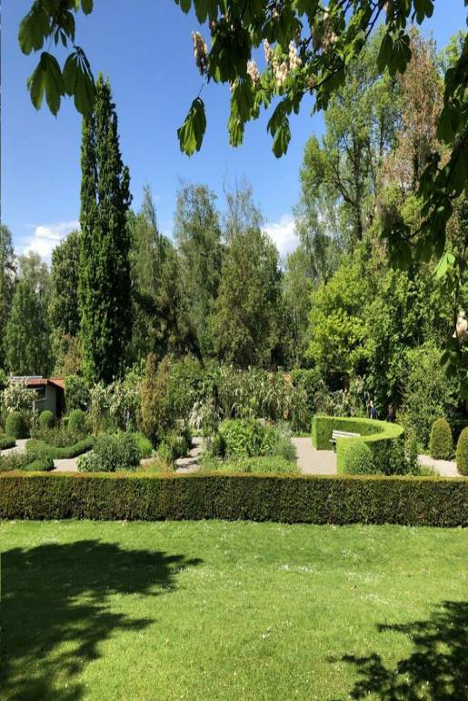 projektowanie ogrodów