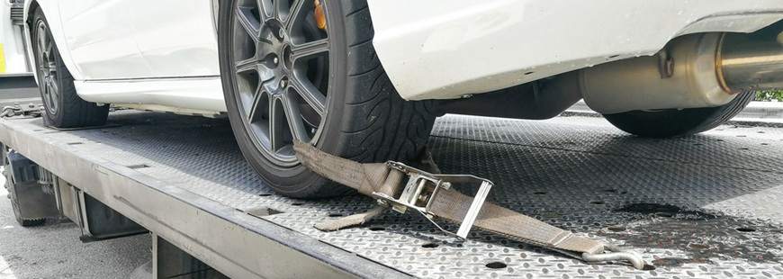 Transport Samochodów Grzegorz Szwaczyk