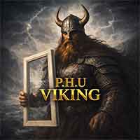 PHU Viking Jerzy Podgórski - logo