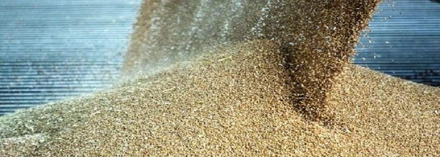 Marchem-smolarz I Czech Sp.j.