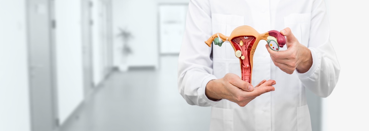 Michał Wojcieszyn Dr N. Med. Gabinet Ginekologiczny