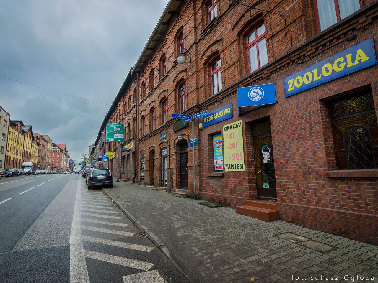 artykuły zoologiczne