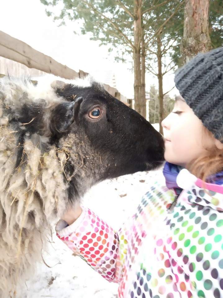 Organizacja imprez i konferencji