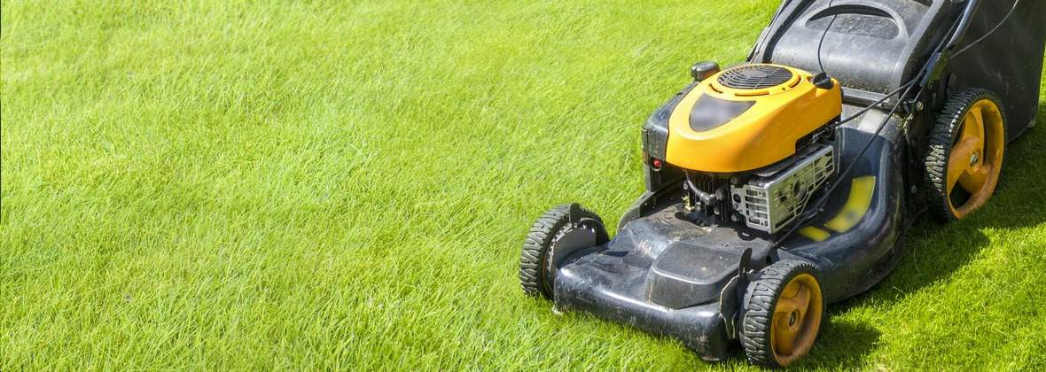 Serwis Maszyn Ogrodowych B. Serwis