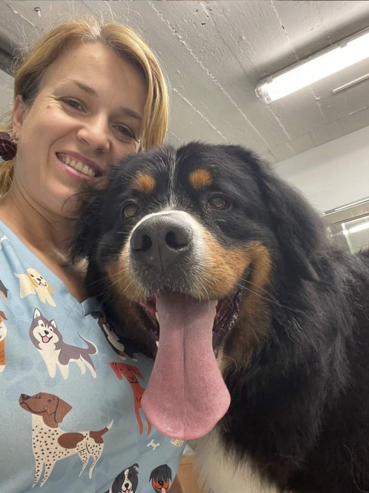 pielęgnacja dużych psów