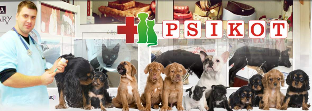 Psikot Usługi Weterynaryjne