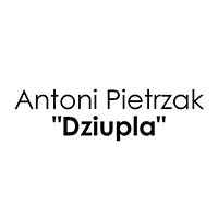 Antoni Pietrzak "Dziupla" - Stacje obsługi i warsztaty samochodowe